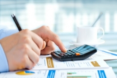 Internal control in budgetary institutions